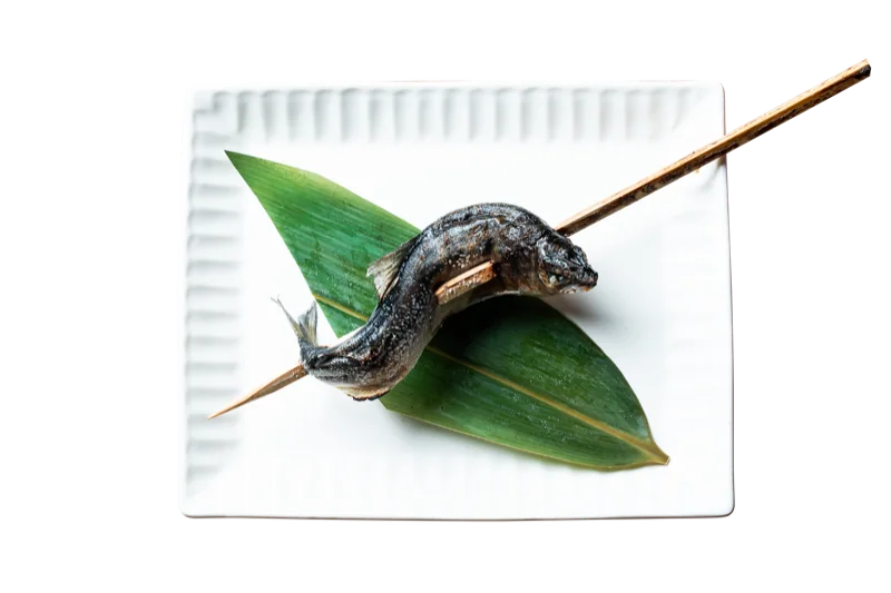 豊橋鮎の塩焼き
